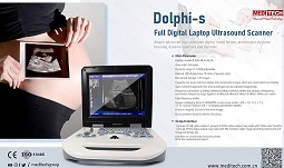 Dolphi-s